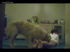 Adorable adolescent dilettante lets her dog use her muff's tongue.